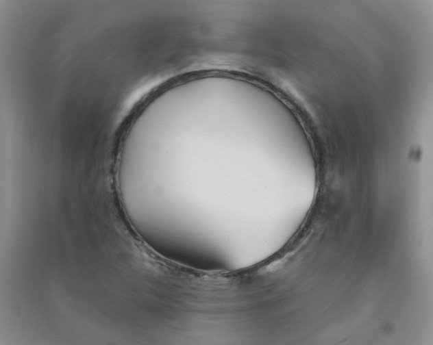 X0000090711312200708171858