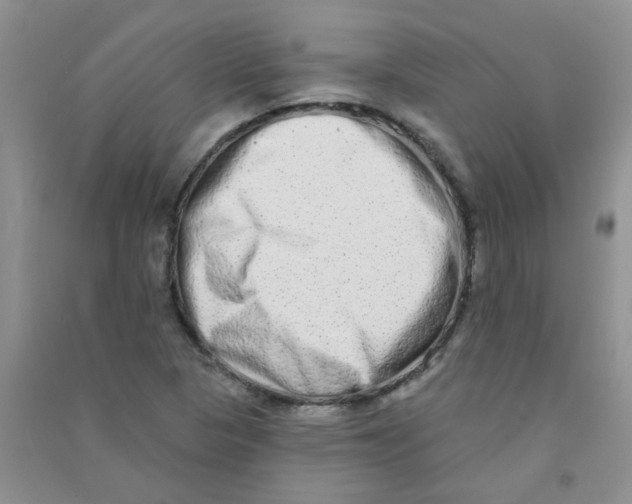 X0000090711313200708171858