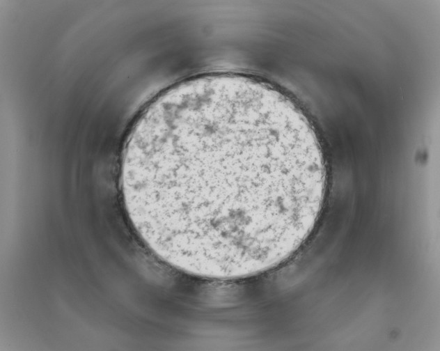 X0000090711314200708171858