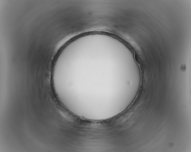 X0000090711316200708171858