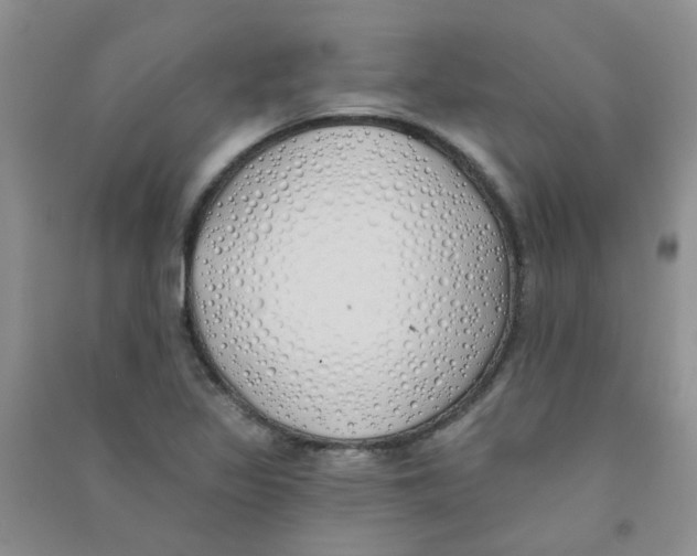 X0000090711317200708171858