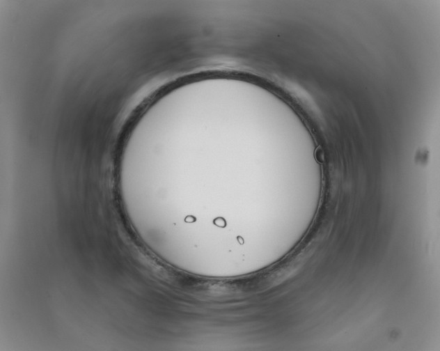 X0000090711318200708171858