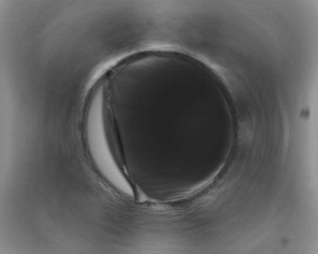 X0000090711319200708171858