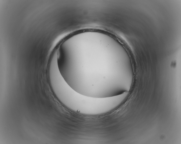 X0000090711320200708171858