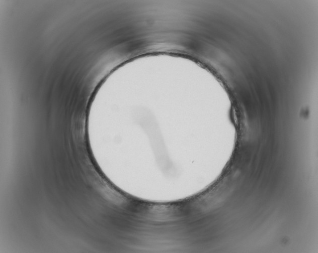 X0000090711322200708171858