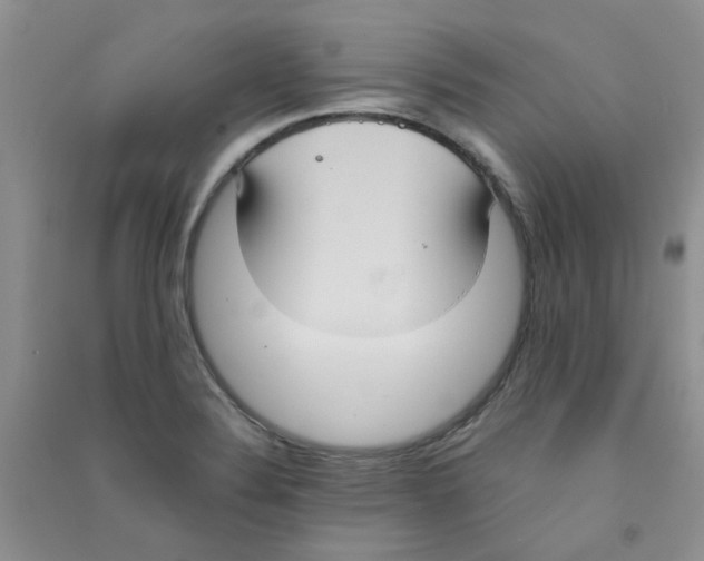 X0000090711324200708171858