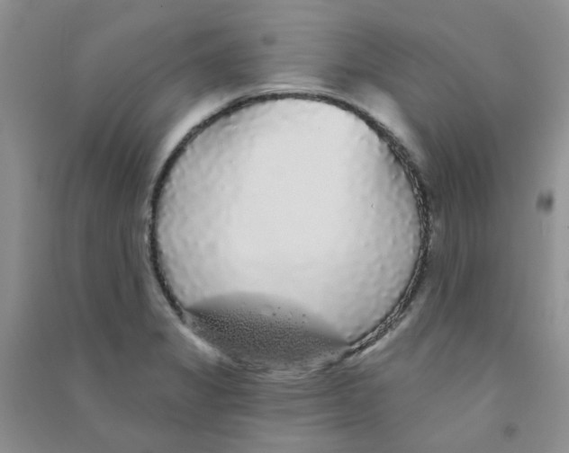 X0000090711325200708171858