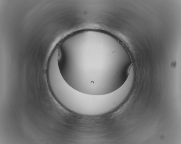 X0000090711326200708171858