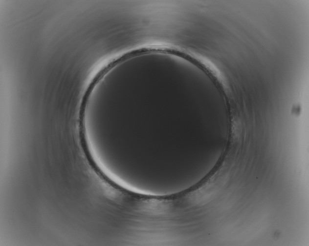 X0000090711327200708171858