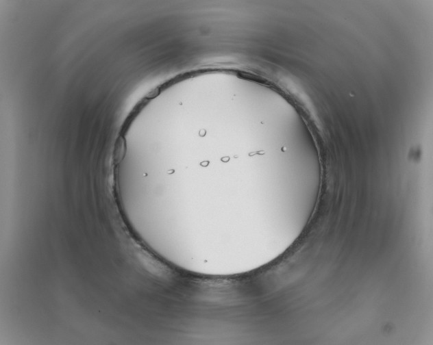 X0000090711328200708171858