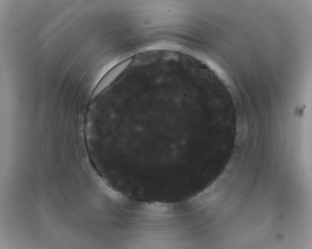 X0000090711329200708171858