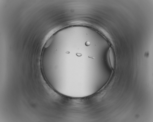 X0000090711330200708171858