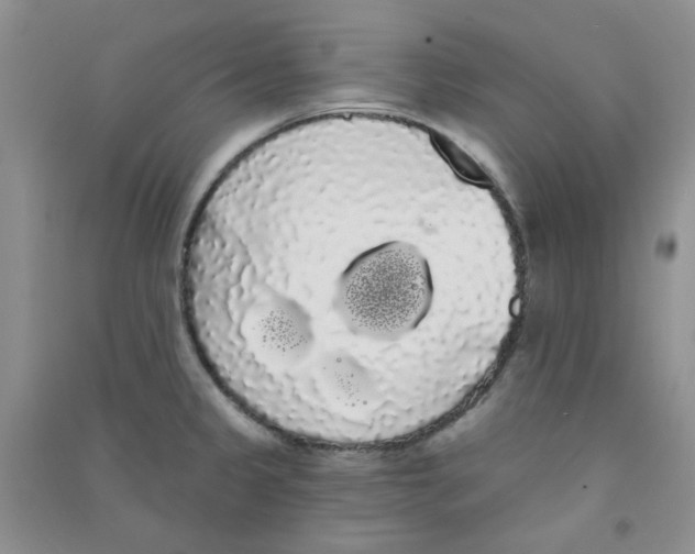 X0000090711333200708171859