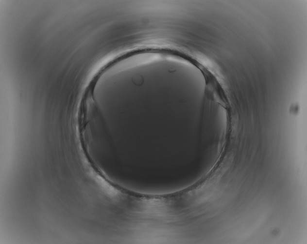 X0000090711334200708171859