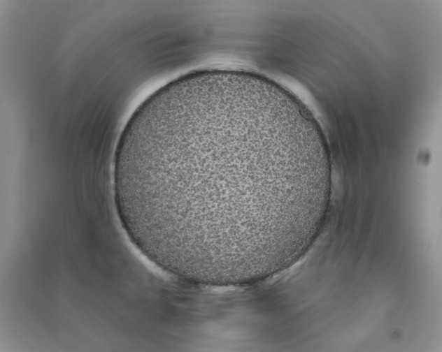 X0000090711335200708171859