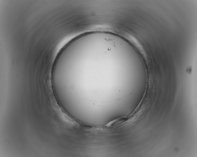 X0000090711336200708171859