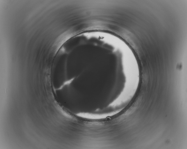 X0000090711337200708171859