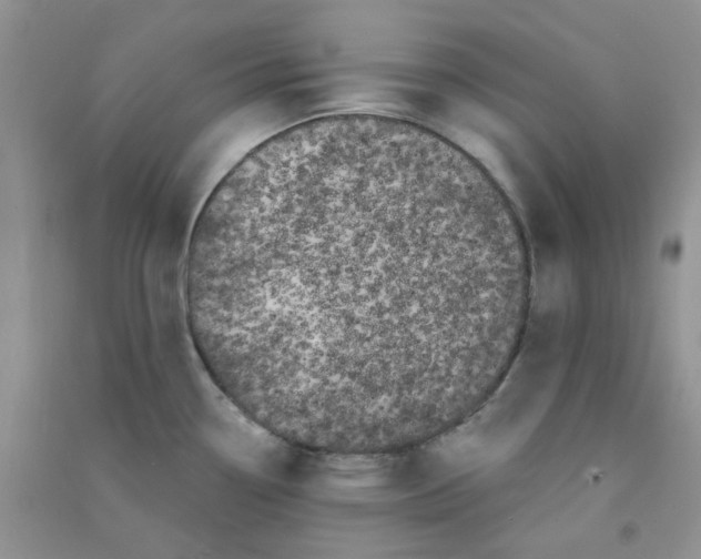 X0000090711338200708171859