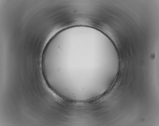 X0000090711339200708171859