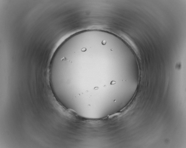 X0000090711340200708171859