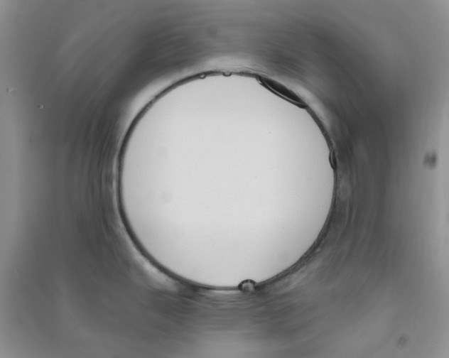 X0000090711343200708171859