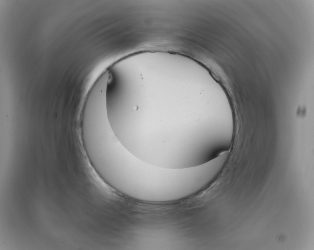 X0000090711344200708171859