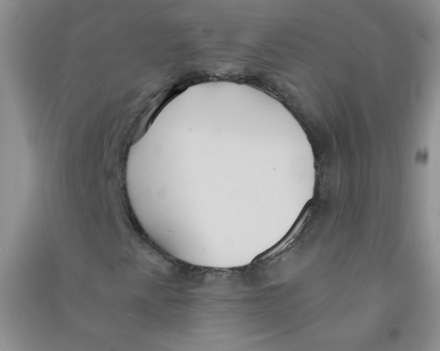 X0000090711345200708171858