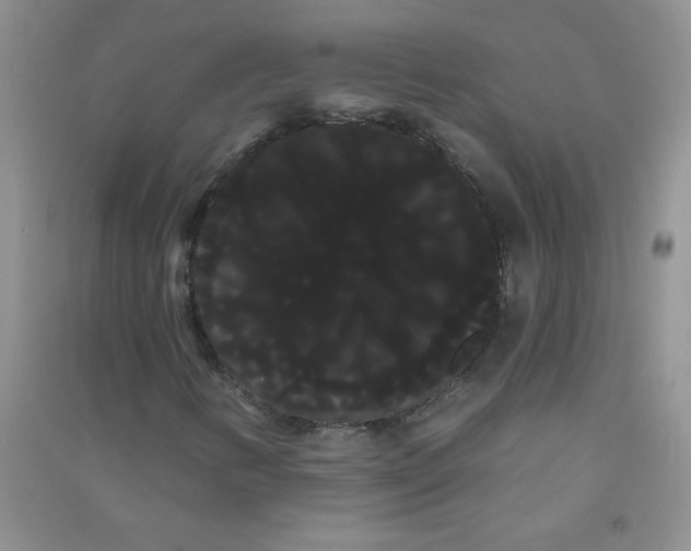 X0000090711346200708171858