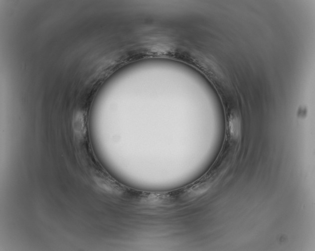 X0000090711347200708171858