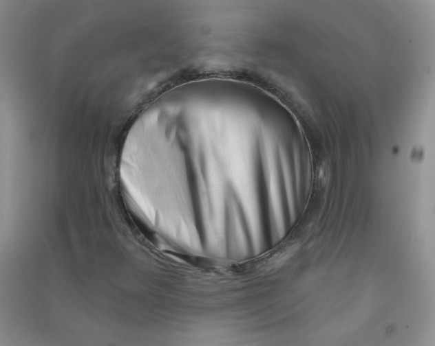 X0000090711348200708171858