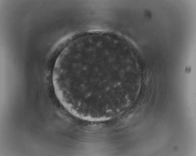 X0000090711351200708171858