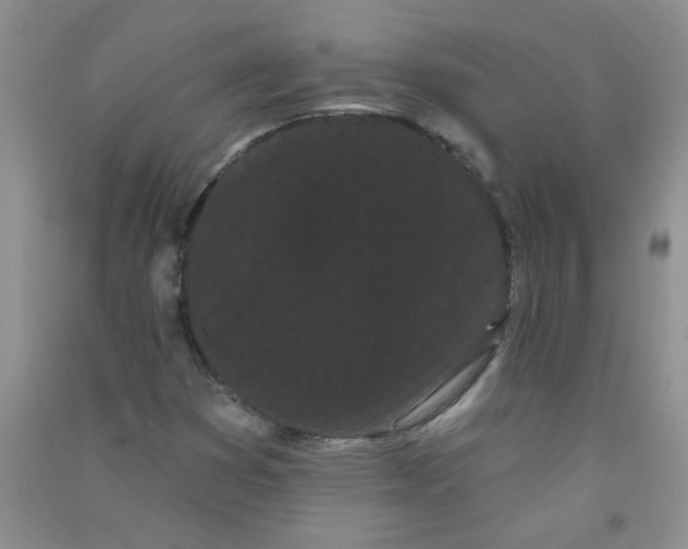 X0000090711353200708171858