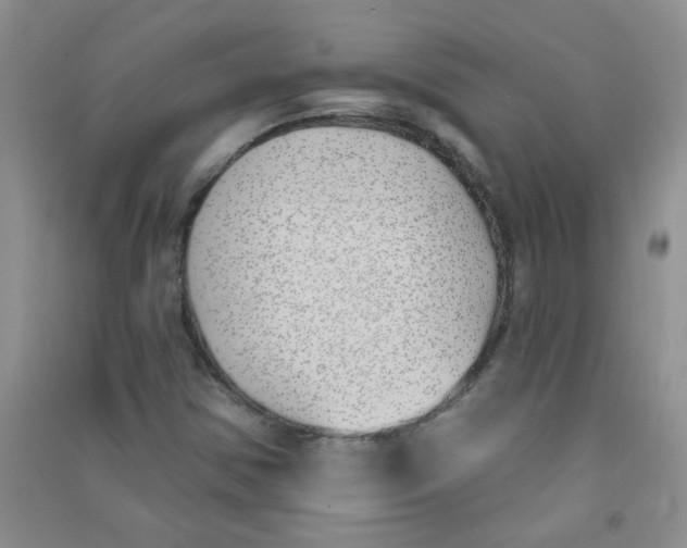 X0000090711354200708171858