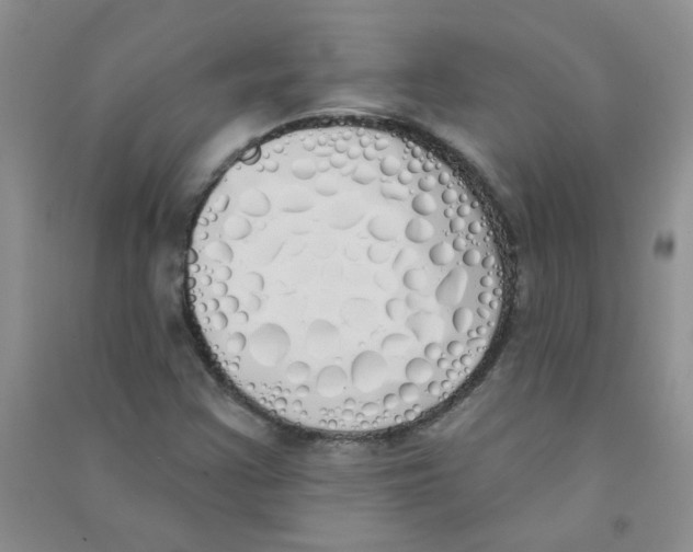 X0000090711355200708171858