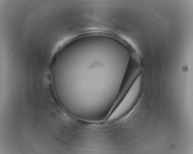 X0000090711357200708171858