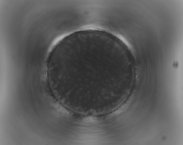 X0000090711358200708171858