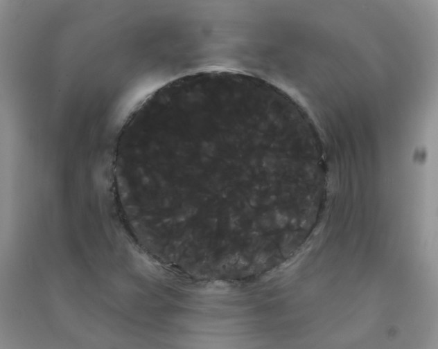 X0000090711359200708171858