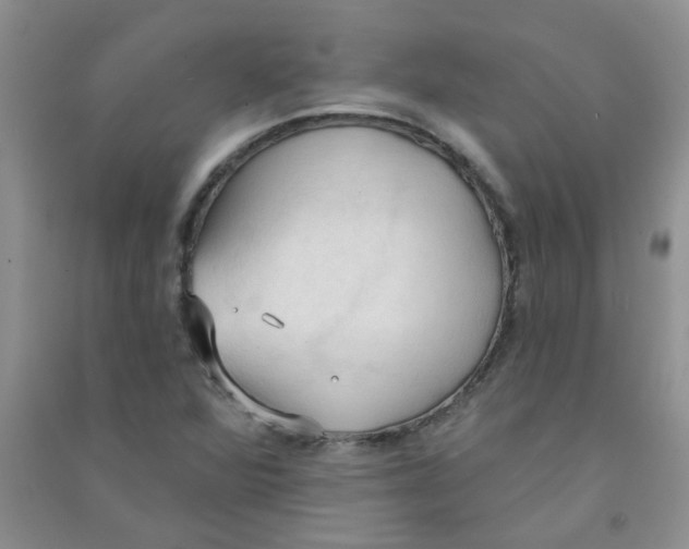 X0000090711360200708171858