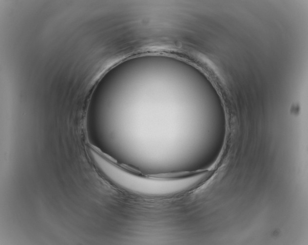 X0000090711361200708171858