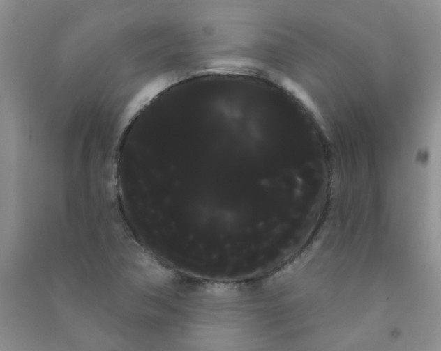 X0000090711362200708171858