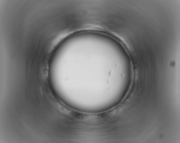 X0000090711363200708171858