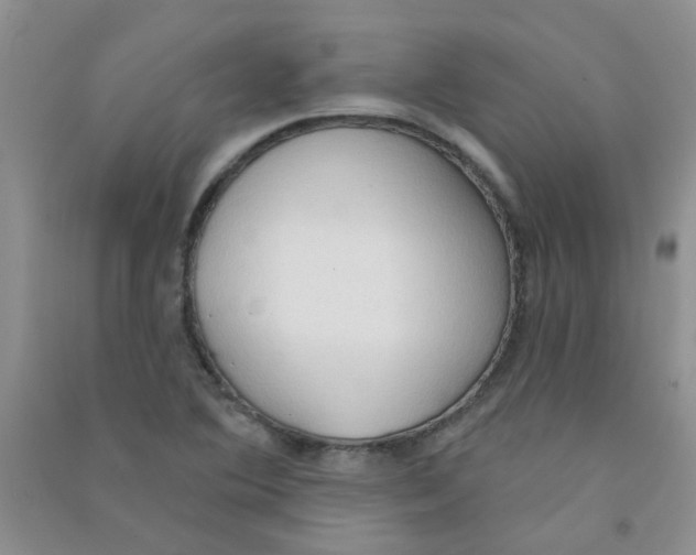 X0000090711364200708171858