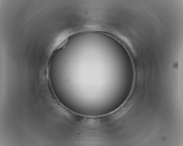 X0000090711365200708171858