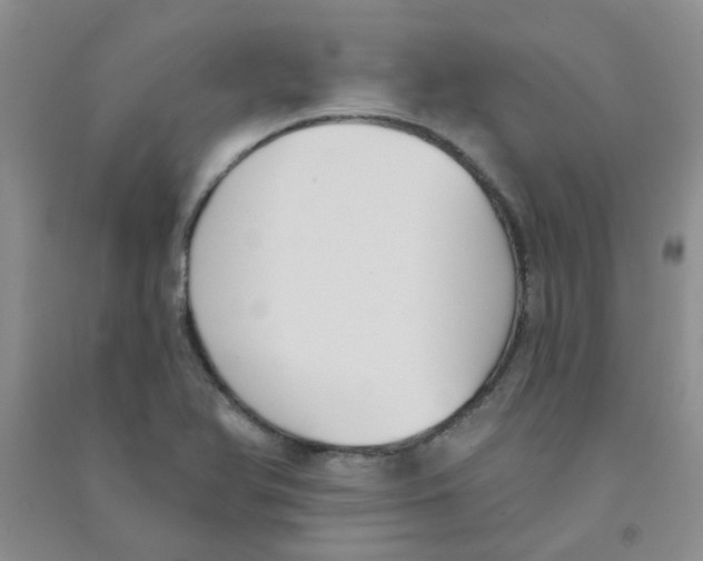 X0000090711366200708171858