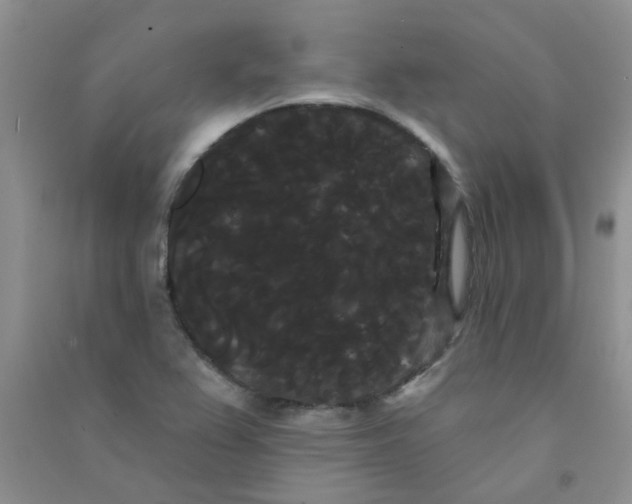 X0000090711367200708171858