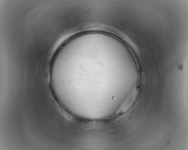 X0000090711368200708171858