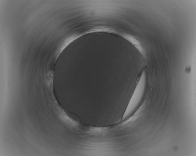 X0000090711369200708171858