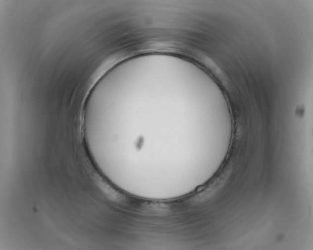 X0000090711370200708171858