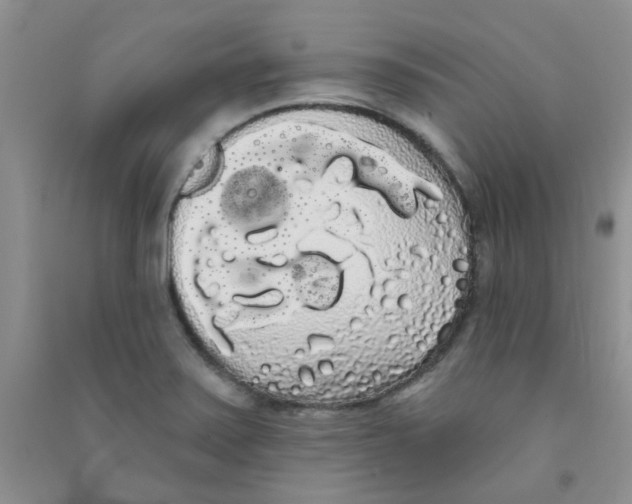 X0000090711371200708171858