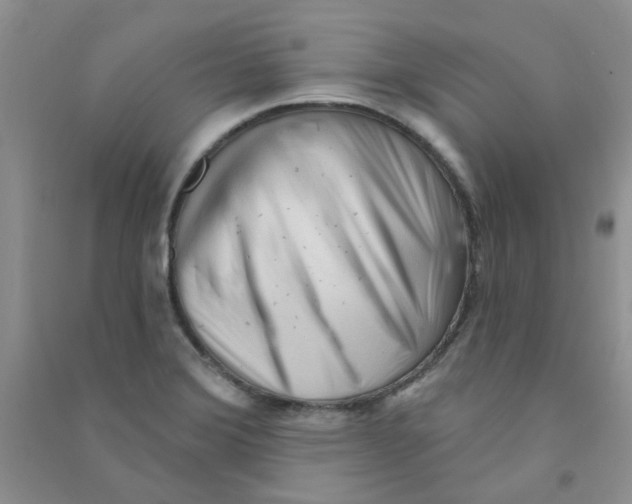 X0000090711372200708171858